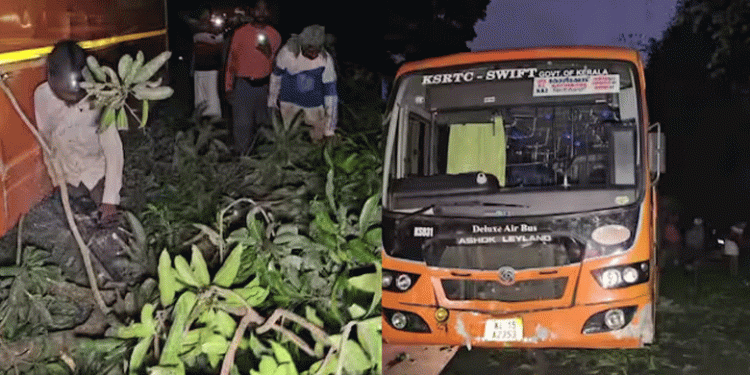 റോഡില്‍ വീണ മാങ്ങ പെറുക്കുന്നതിനിടെ കെഎസ്ആര്‍ടിസി പാഞ്ഞുകയറി; 3 പേര്‍ക്ക് പരുക്ക്, ഒരാളുടെ നില ഗുരുതരം