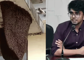 കലക്ടറേറ്റില്‍ ബോംബ് ഭീഷണിയെത്തുടര്‍ന്ന് പരിശോധന; സബ് കളക്ടര്‍ ഒവി ആല്‍ഫ്രഡിന് തേനീച്ചയുടെ കുത്തേറ്റു