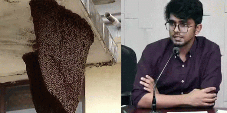 കലക്ടറേറ്റില്‍ ബോംബ് ഭീഷണിയെത്തുടര്‍ന്ന് പരിശോധന; സബ് കളക്ടര്‍ ഒവി ആല്‍ഫ്രഡിന് തേനീച്ചയുടെ കുത്തേറ്റു