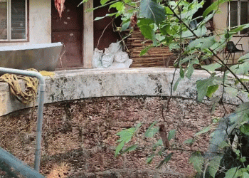 ‘തന്നോടുള്ള സ്‌നേഹം കുറയുമോ എന്നുള്ള ഭയം’ ; 4 മാസം പ്രായമുള്ള കുഞ്ഞിനെ  കൊലപ്പെടുത്താനുള്ള കാരണം ഇത്