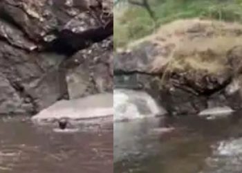 വിനോദ സഞ്ചാരത്തിനെത്തി, യുവാവിനെ വെള്ളച്ചാട്ടത്തിൽ കാണാതായി