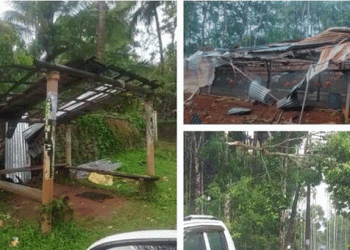 വയനാട് കനത്ത മഴ, കാറ്റ്; കോഴിഫാമിന്റെ ഷീറ്റുകള്‍ പറന്നുപോയി, 3500 കോഴിക്കുഞ്ഞുങ്ങള്‍ ചത്തു