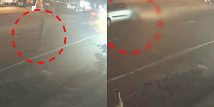 പൂച്ചയെ രക്ഷിക്കാന്‍ ബൈക്ക് നിര്‍ത്തി റോഡിലേക്ക് ഇറങ്ങി; തൃശൂരില്‍ യുവാവ് കാറിടിച്ചു മരിച്ചു
