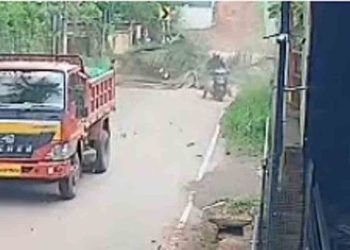 ഓടിക്കൊണ്ടിരിക്കുന്ന ബൈക്കിന് മുകളിൽ തെങ്ങ് കടപുഴകി വീണു, യുവാവിന് ഗുരുതര പരിക്ക്