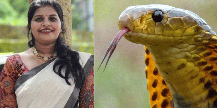 വീട്ടുമുറ്റത്ത് നിന്ന് മകന് ഭക്ഷണം കൊടുക്കുന്നതിനിടെ യുവതി പാമ്പ് കടിയേറ്റ് മരിച്ചു