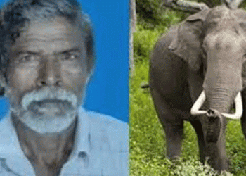 പാലക്കാട് മുണ്ടൂരില്‍ കാട്ടാന ആക്രമണം; 61കാരന്‍ കൊല്ലപ്പെട്ടു, ആന ഇപ്പോഴും ജനവാസ മേഖലയില്‍