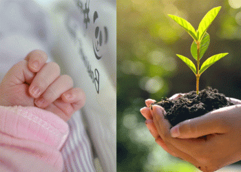 പ്രസവ ശേഷം വീട്ടിലേക്ക് മടങ്ങുന്ന കുടുംബത്തിന് വൃക്ഷതൈ, പദ്ധതി നടപ്പാക്കുക ആരോഗ്യ വകുപ്പ് വനം വകുപ്പുമായി ചേര്‍ന്ന്