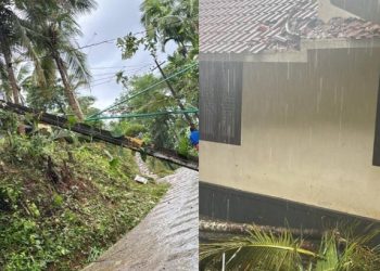 നാദാപുരത്ത് ചുഴലിക്കാറ്റിന് സമാനമായ ശക്തമായ കാറ്റ്, വ്യാപക നാശനഷ്ടം