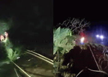 വാഗമണ് റോഡില് വിനോദ സഞ്ചാരി കൊക്കയില് വീണു മരിച്ചു