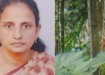 കൃഷിയിടത്തിൽ പൊട്ടി വീണ വൈദ്യുതി കമ്പിയിൽ നിന്ന് ഷോക്കേറ്റു, 48കാരിക്ക് ദാരുണാന്ത്യം