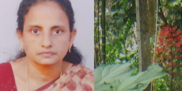 കൃഷിയിടത്തിൽ പൊട്ടി വീണ വൈദ്യുതി കമ്പിയിൽ നിന്ന് ഷോക്കേറ്റു, 48കാരിക്ക് ദാരുണാന്ത്യം