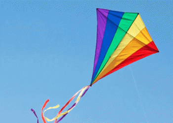 നൂല് പൊട്ടിയ പട്ടത്തിന് പിന്നാലെ ഓടിയ  7 വയസുകാരനെ ഓവുചാലില്‍ വീണ് കാണാതായി