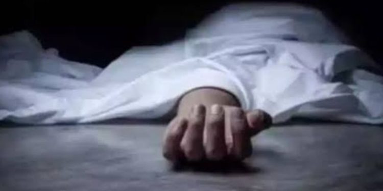 വനാതിര്ത്തിക്കു സമീപം പശുവിനെ മേയ്ക്കാന്പോയ വീട്ടമ്മ മരിച്ച നിലയിൽ, പശുവും ചത്ത നിലയിൽ