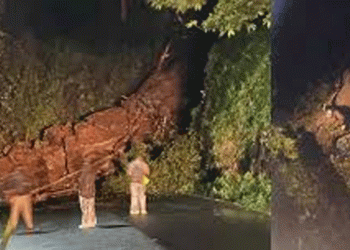 താമരശ്ശേരി ചുരത്തില് മണ്ണിടിച്ചില്; ഗതാഗതം നിരോധിച്ചു, വയനാട്ടിലേക്കുള്ള വാഹനങ്ങള് താമരശ്ശേരിയില്നിന്ന് വഴിതിരിഞ്ഞ് പോകണം