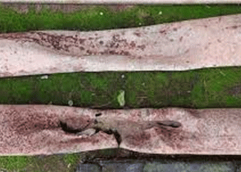 തിരുനാവായയില്‍ റെയില്‍വെ ട്രാക്കില്‍ ഇരുമ്പ് കമ്പികള്‍; കണ്ടെത്തിയത് കണ്ണൂര്‍ പാസഞ്ചര്‍ പോകുന്നതിന് തൊട്ടുമുമ്പ്, വന്‍ ദുരന്തം ഒഴിവായി