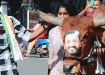 ‘ശിവന്റെ വാഹനമായ കാളയെ ഉപയോഗിച്ച് നടത്തിയ പ്രതിഷേധം മത വിശ്വാസത്തെ വ്രണപ്പെടുത്തി’; യുവമോര്ച്ചക്കെതിരെ പരാതി