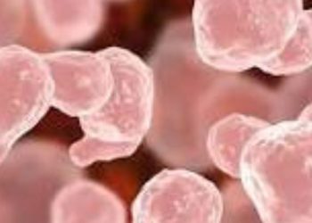 വീണ്ടും അമീബിക് മസ്തിഷ്കജ്വരം, രോഗം സ്ഥിരീകരിച്ചത് 11കാരിക്ക്