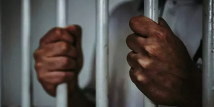 14കാരിയെ പീഡിപ്പിച്ച് ഗർഭിണിയാക്കി, 20കാരന് 64 വർഷം തടവ് ശിക്ഷ