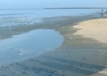 കോഴിക്കോട് അസാധാരണമാംവിധം കടല്‍ ഉള്‍വലിഞ്ഞു, പിന്നാലെ ചെളിക്കെട്ട്, ആശങ്കയിൽ പ്രദേശവാസികൾ