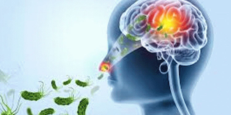 സംസ്ഥാനത്ത് വീണ്ടും അമീബിക് മസ്തിഷ്ക ജ്വരം സ്ഥിരീകരിച്ചു, മലപ്പുറത്തെ 6 വയസുകാരിക്ക് രോഗബാധ