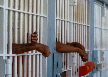 മലപ്പുറത്ത് ഒന്പതാം ക്ലാസ് വിദ്യാര്ത്ഥിയെ സഹപാഠികള് മര്ദ്ദിച്ച സംഭവം; 7 കുട്ടികളെ ജുവനൈല് ഹോമിലേക്ക് മാറ്റി