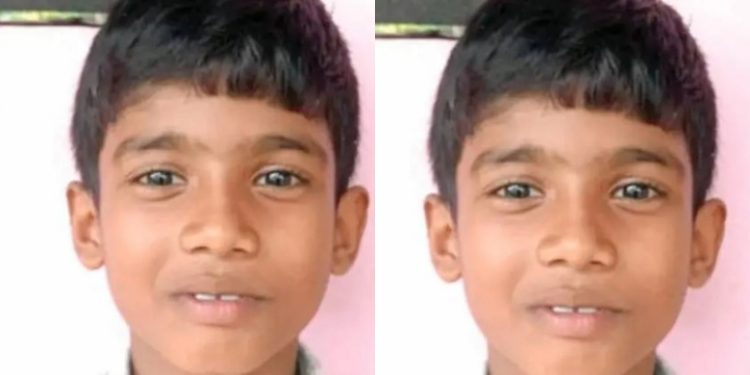 വീട്ടിലെ പടിയില്‍ക്കിടന്ന പാമ്പിനെ അറിയാതെ ചവിട്ടി, കടിയേറ്റ് എട്ടുവയസുകാരന് ദാരുണാന്ത്യം, നഷ്ടമായത് ഏകമകനെ