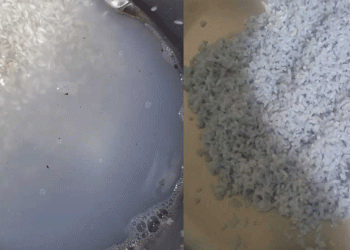 റേഷന്‍ കടയില്‍ നിന്നും വാങ്ങിയ പച്ചരി കഴുകിയപ്പോള്‍ നീലനിറം, പരാതി നല്‍കി കുടുംബം