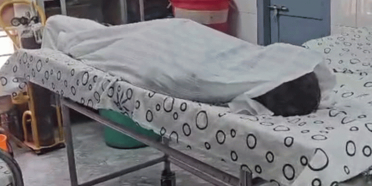 പൊട്ടി വീണ വൈദ്യുതി ലൈനില്‍ നിന്ന് ഷോക്കേറ്റ് ഗൃഹനാഥന് ദാരുണാന്ത്യം