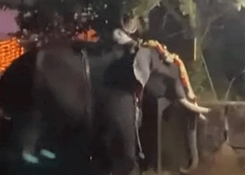 เดเตเดดเดฟเดเตเดเตเดเต เดถเดฟเดตเดเตเดทเตเดคเตเดฐเดคเตเดคเดฟเดฒเต เดเดคเตเดธเดตเดคเตเดคเดฟเดจเดฟเดเต เดเดจ เดเดเดเตเดเต; เดชเดฐเดฟเดญเตเดฐเดพเดจเตเดคเดฐเดพเดฏเดฟ เดเดเตเดจเตเดจเดคเดฟเดจเดฟเดเต เดตเตเดฃเต 7 เดชเตเตผเดเตเดเต เดชเดฐเดฟเดเตเดเต