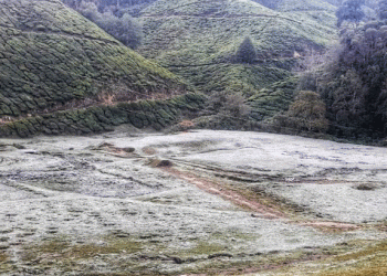 തണുത്ത് വിറച്ച് മൂന്നാർ; താപനില പൂജ്യം ഡിഗ്രി സെൽഷ്യസ്