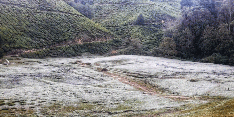 തണുത്ത് വിറച്ച് മൂന്നാർ; താപനില പൂജ്യം ഡിഗ്രി സെൽഷ്യസ്