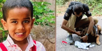 പാലക്കാട് നിന്നും കാണാതായ കുട്ടിക്കായി തിരച്ചില്‍, അച്ഛൻ വിദേശത്ത് നിന്നെത്തും; മൊബൈൽ ടവർ കേന്ദ്രീകരിച്ചും പരിശോധന