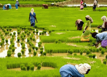 കാര്ഷിക മേഖലയ്ക്ക് കരുതലായി രണ്ടാം പിണറായി സര്ക്കാര്, യുവതലമുറയെ കൃഷിയിലേക്ക് ആകര്ഷിക്കാനുള്ള പദ്ധതി നടത്തും