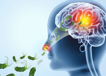 സംസ്ഥാനത്ത് അമീബിക് മസ്തിഷ്‌ക ജ്വരം ബാധിച്ച് കോഴിക്കോട് സ്വദേശി മരിച്ചു, കിണര്‍ വെള്ളം പരിശോധിക്കും