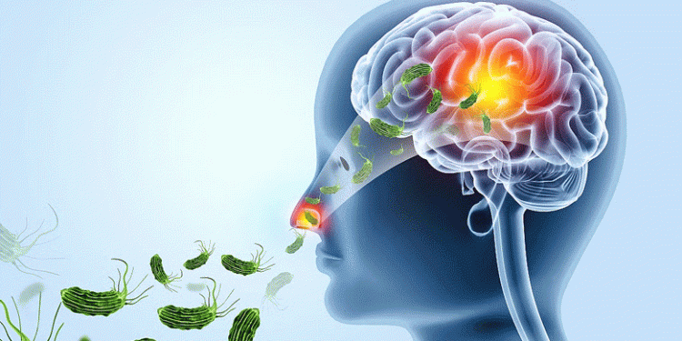 സംസ്ഥാനത്ത് അമീബിക് മസ്തിഷ്‌ക ജ്വരം ബാധിച്ച് കോഴിക്കോട് സ്വദേശി മരിച്ചു, കിണര്‍ വെള്ളം പരിശോധിക്കും