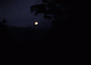 പൊന്നമ്പലമേട്ടിൽ മകരജ്യോതി തെളിഞ്ഞു