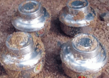 കൂത്തുപറമ്പിലെ ആളൊഴിഞ്ഞ പറമ്പിൽ ബോംബ് ശേഖരം, 9 നാടൻ ബോംബുകളടക്കം കണ്ടെത്തി