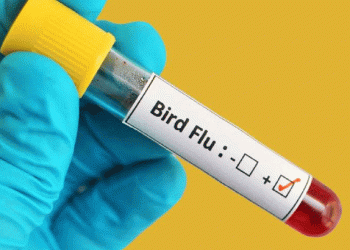 കണ്ണൂരിൽ പക്ഷിപ്പനി സ്ഥിരീകരിച്ചു, ജാഗ്രത പാലിക്കണമെന്ന് ജില്ലാ കളക്ടർ