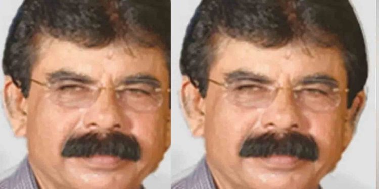 ഭാര്യയെ കടന്നൽ ആക്രമിക്കുന്നത് കണ്ട് ഹൃദയാഘാതം, 75കാരൻ മരിച്ചു